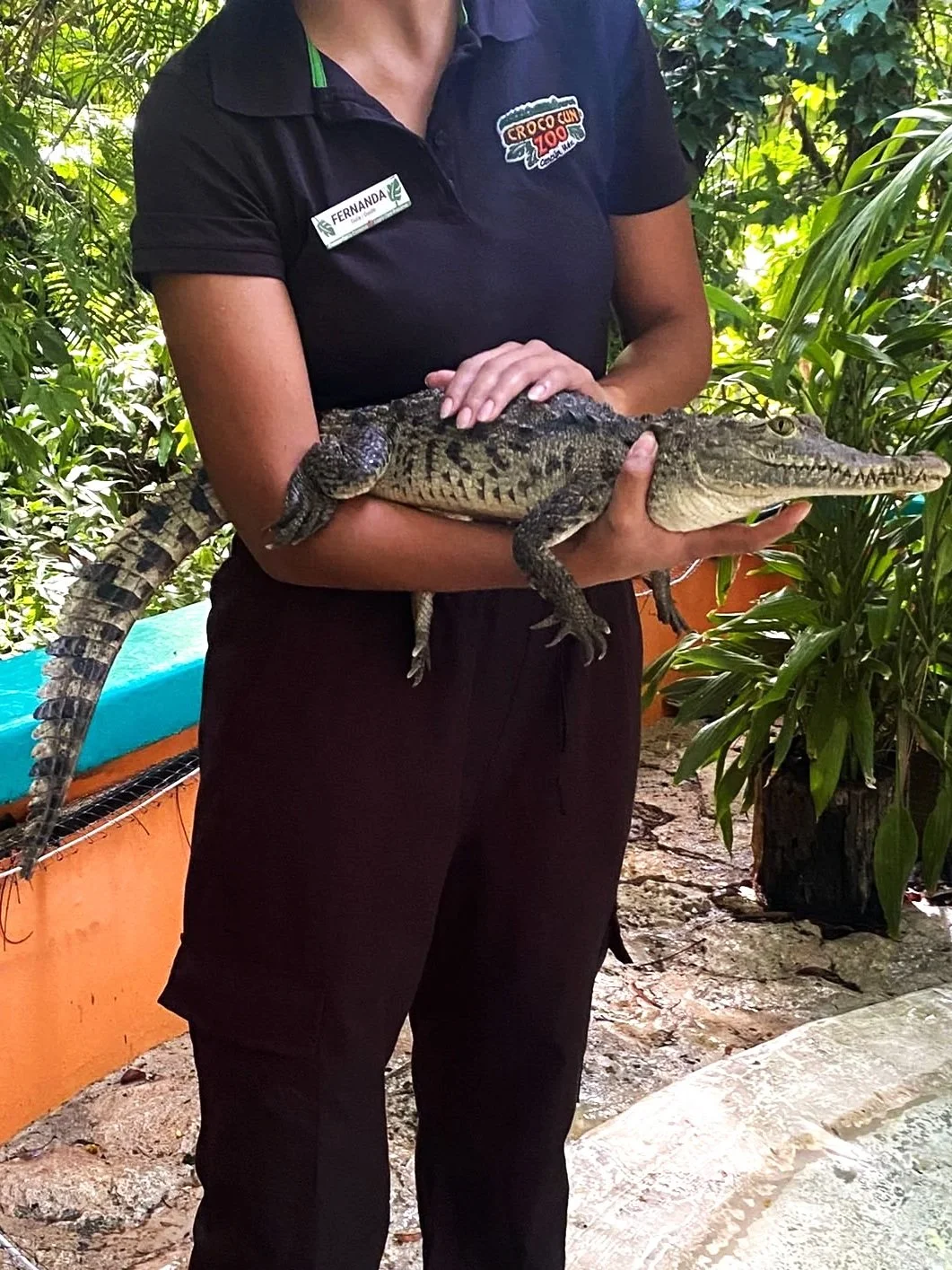 IMG-20250921-WA0096.jpg (Copy)