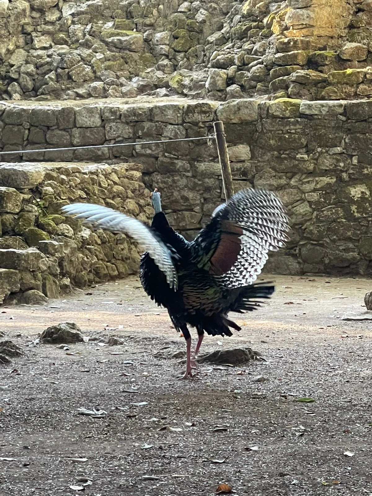 IMG-20260210-WA0078.jpg (Copy)