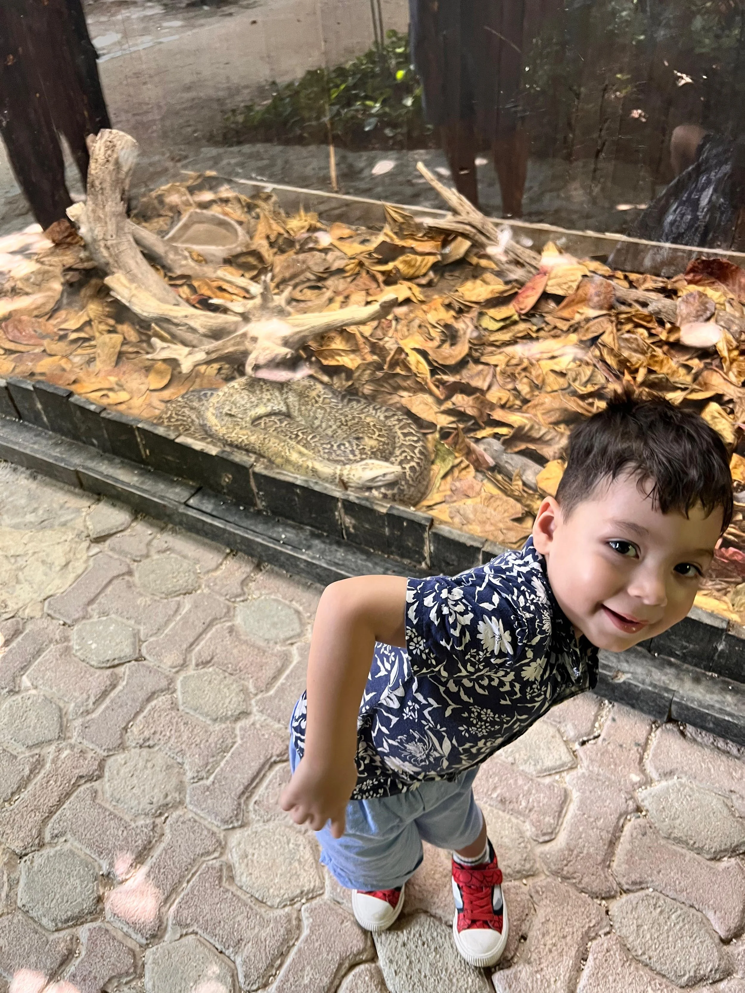 IMG-20250921-WA0238.jpg (Copy)