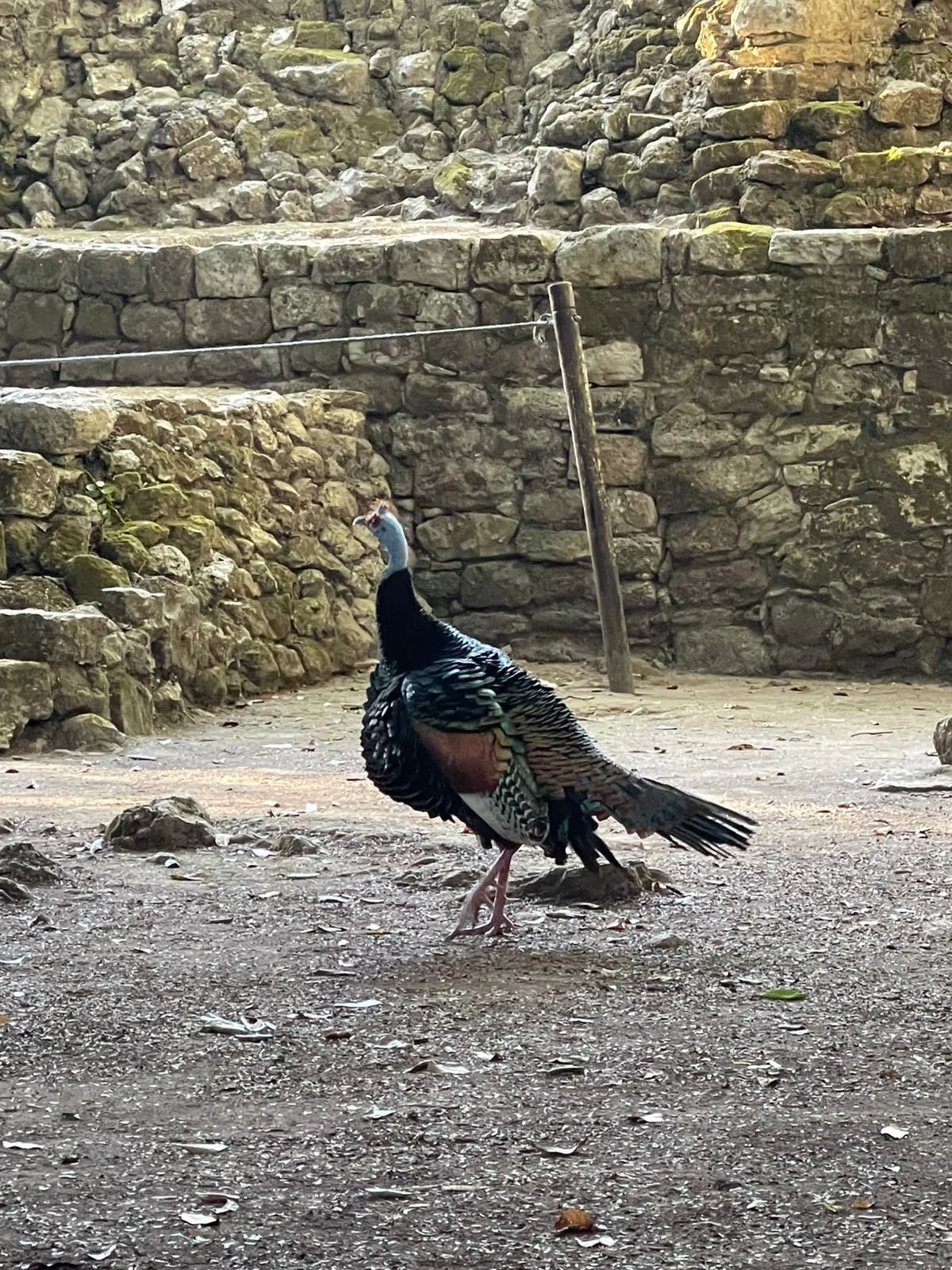 IMG-20260210-WA0134.jpg (Copy)