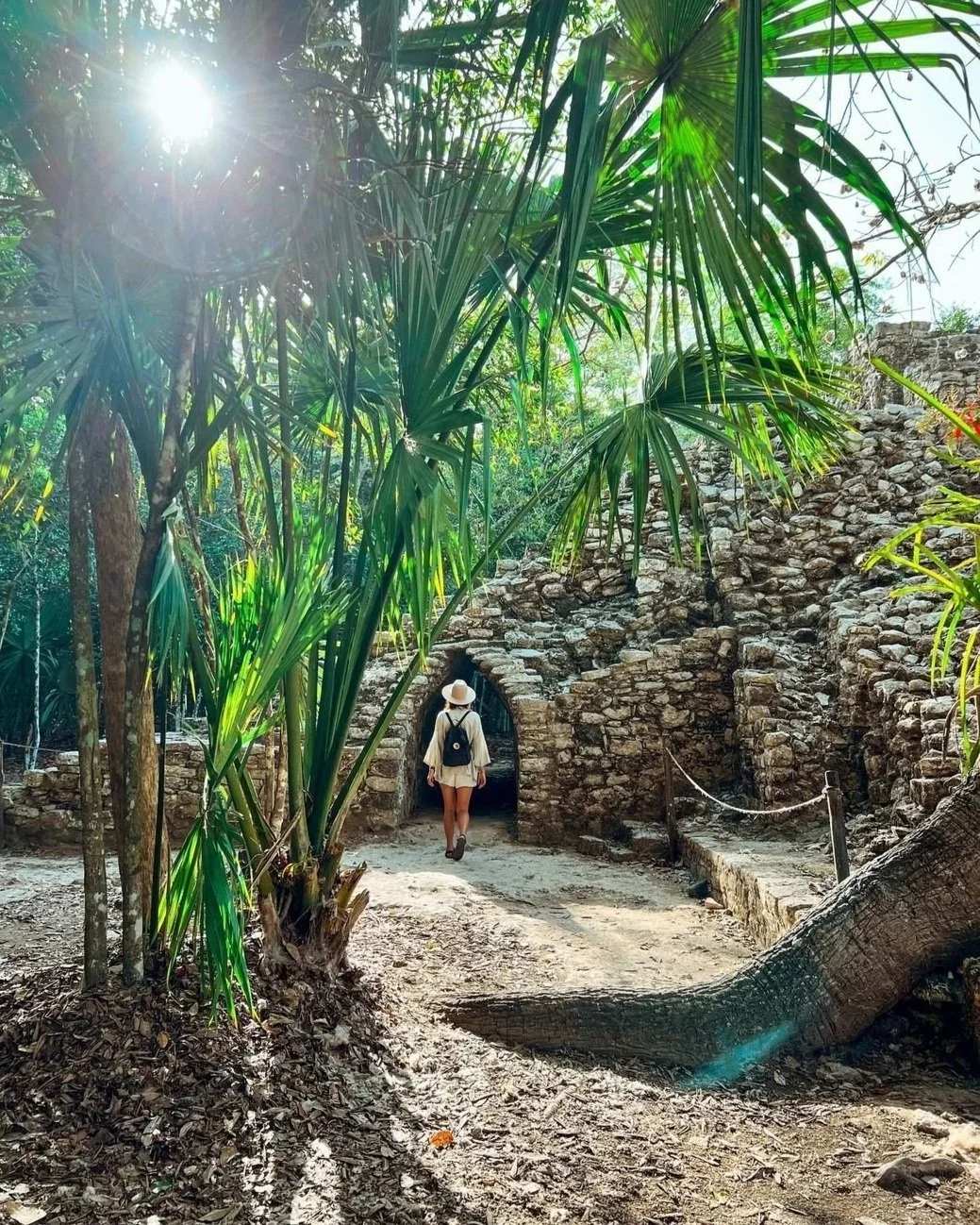 Photo_349558853.jpg (Copy) (Copy)