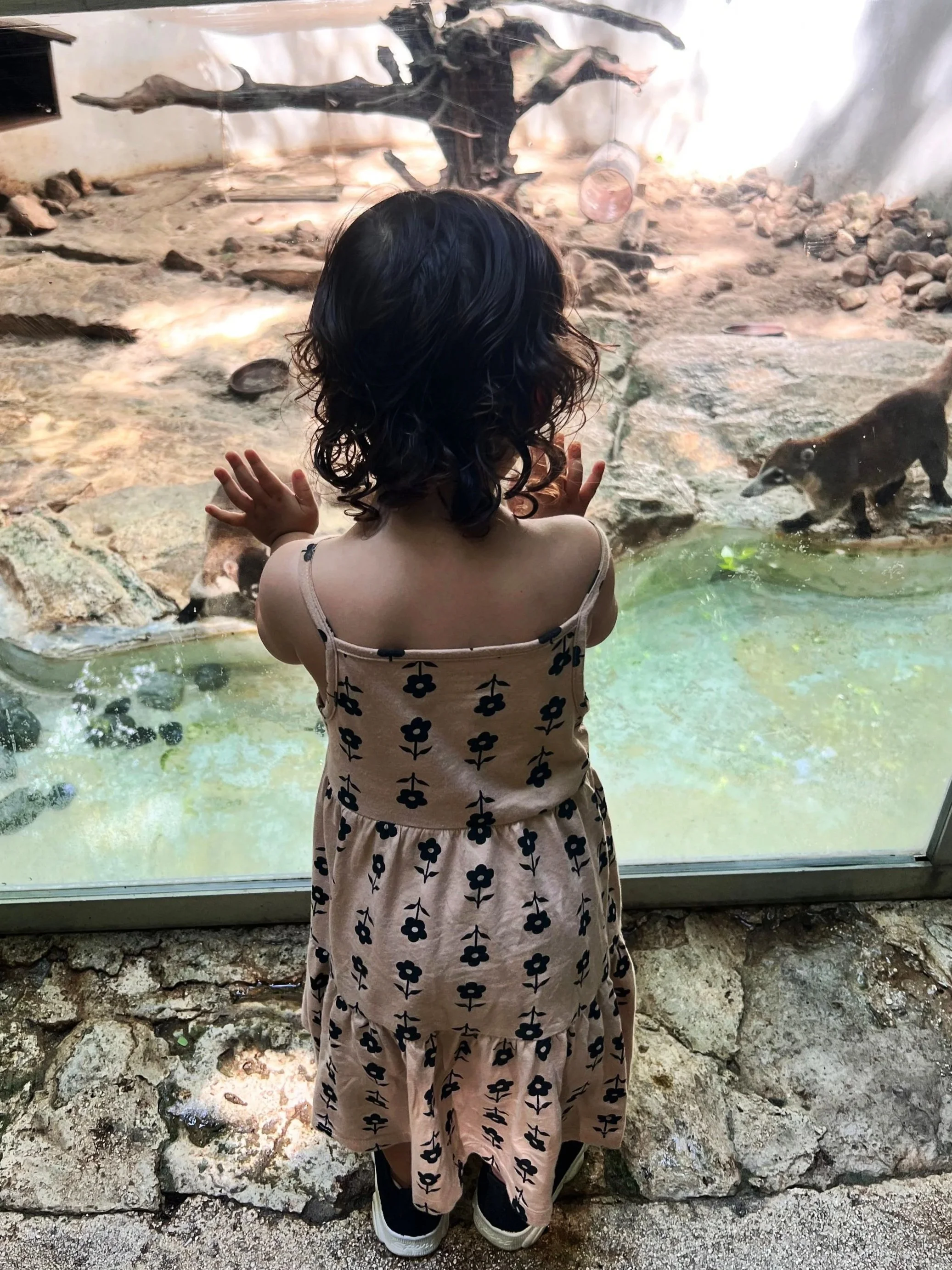 IMG-20250921-WA0251.jpg (Copy)