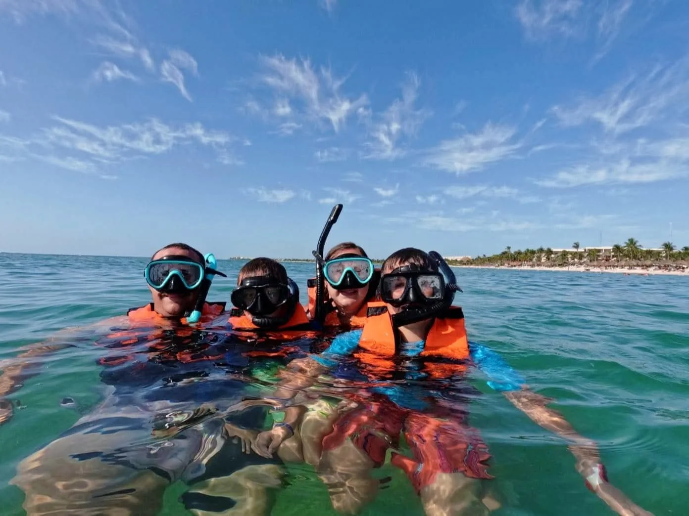 CROCO CUN + TURTLES tour