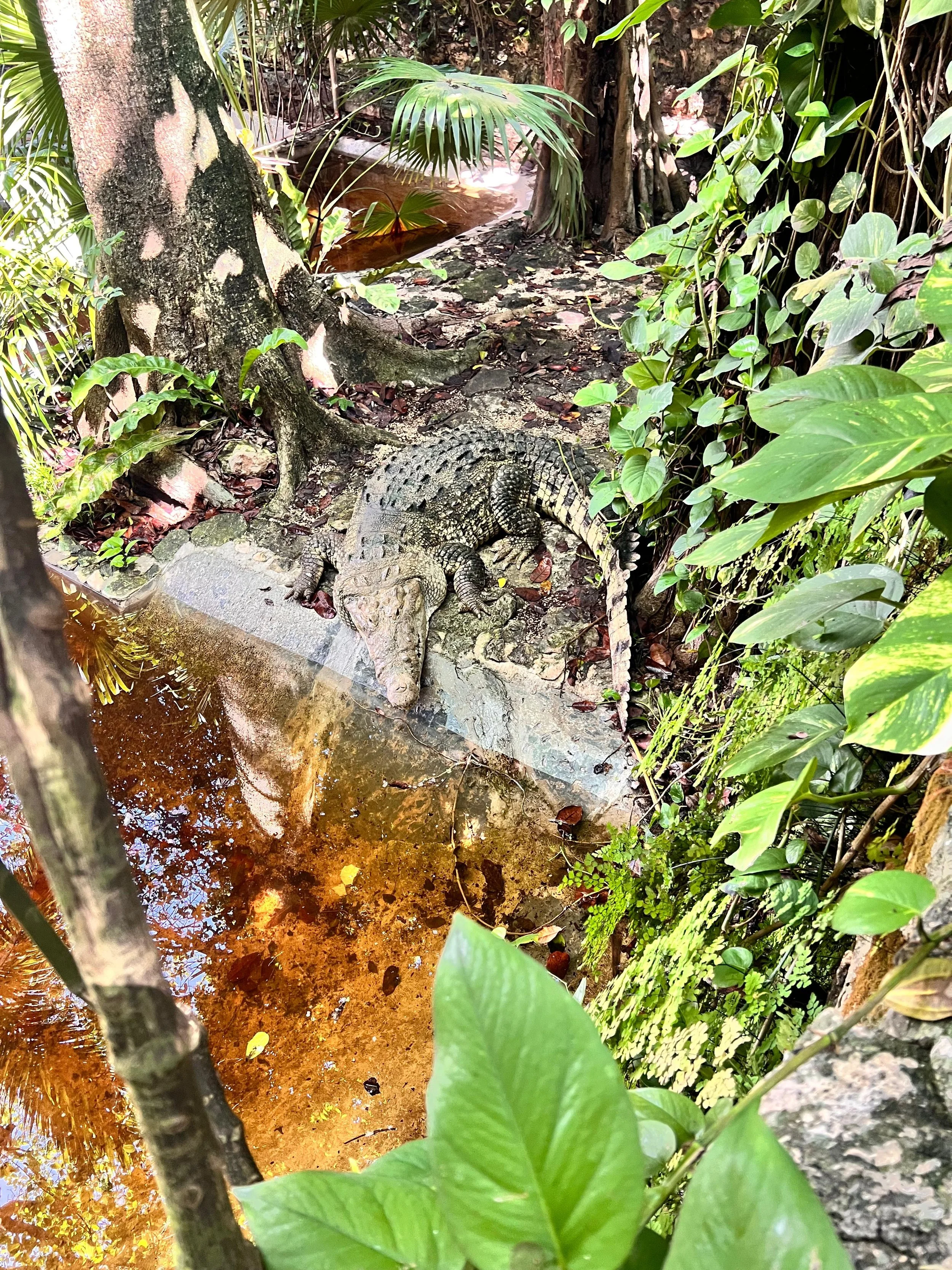 IMG-20250921-WA0273.jpg (Copy)