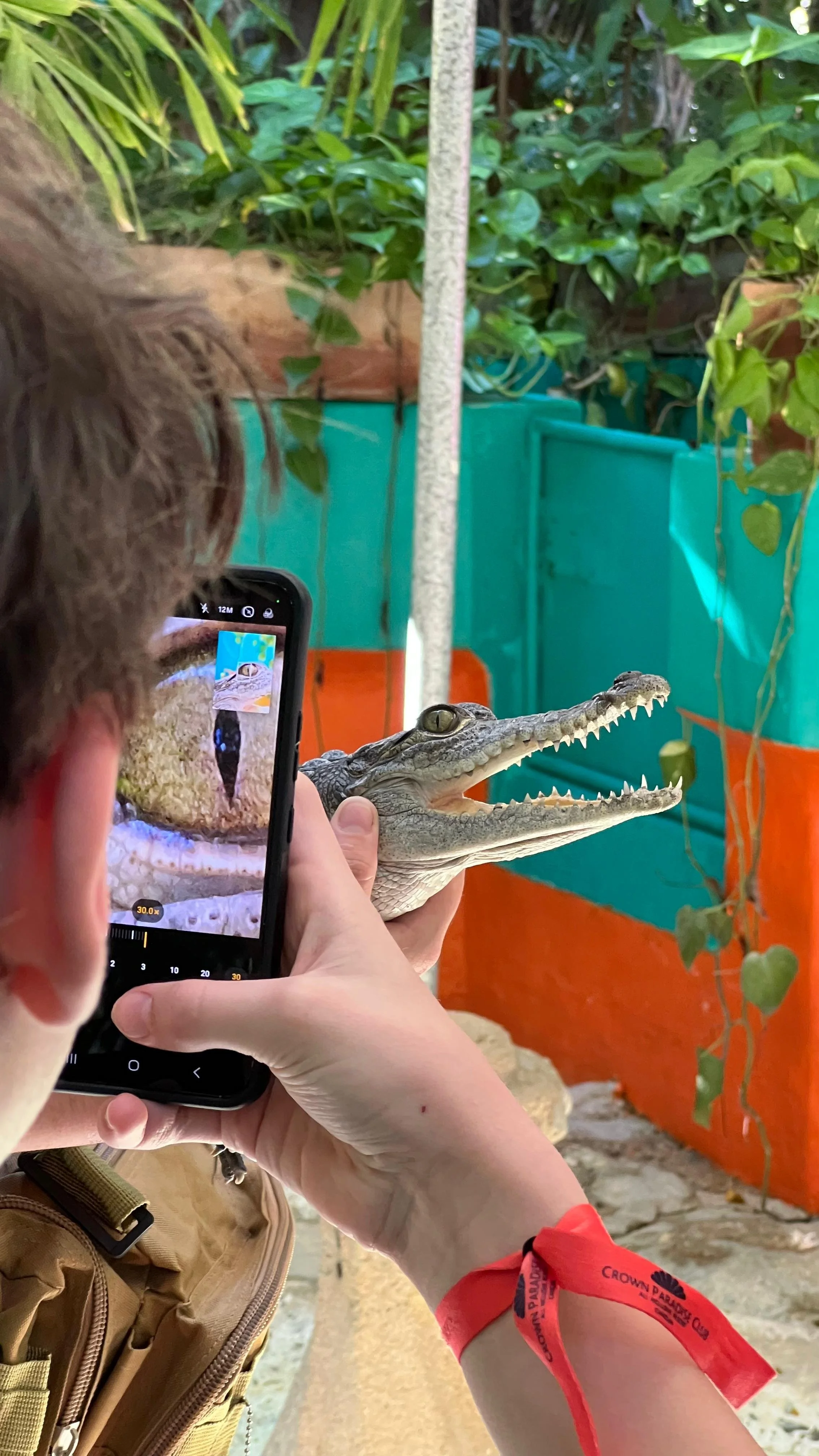 CROCO CUN + SNORKELING tour