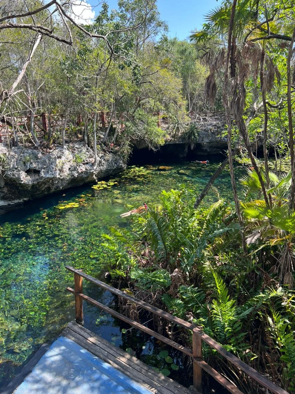 IMG-20260328-WA0011.jpg (Copy)