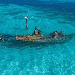 images-6.jpeg (Copy)