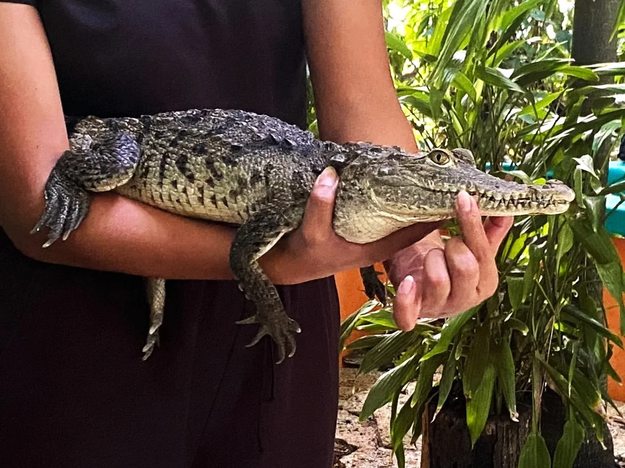 IMG-20250921-WA0086.jpg (Copy)