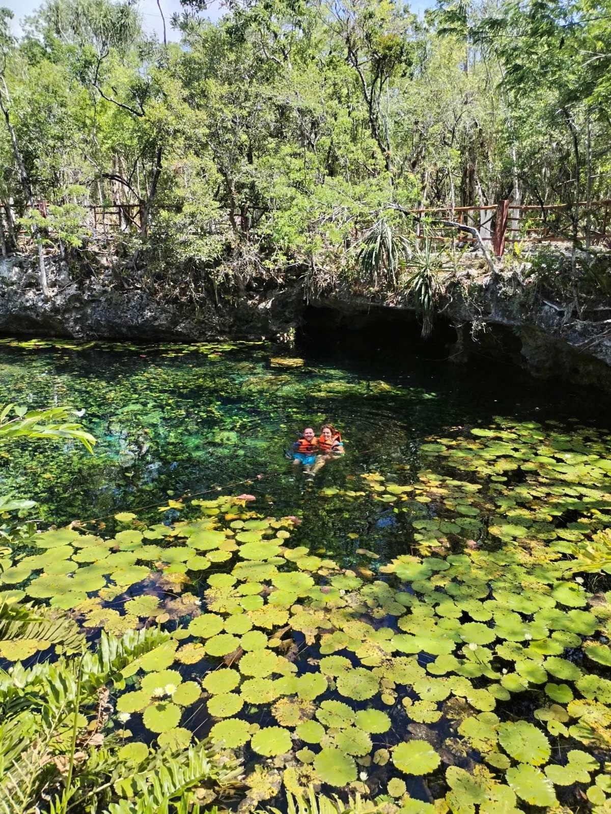 IMG-20250527-WA0034.jpg (Copy)