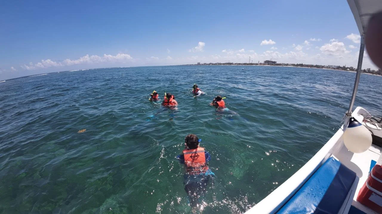 IMG-20250531-WA0119.jpg (Copy)