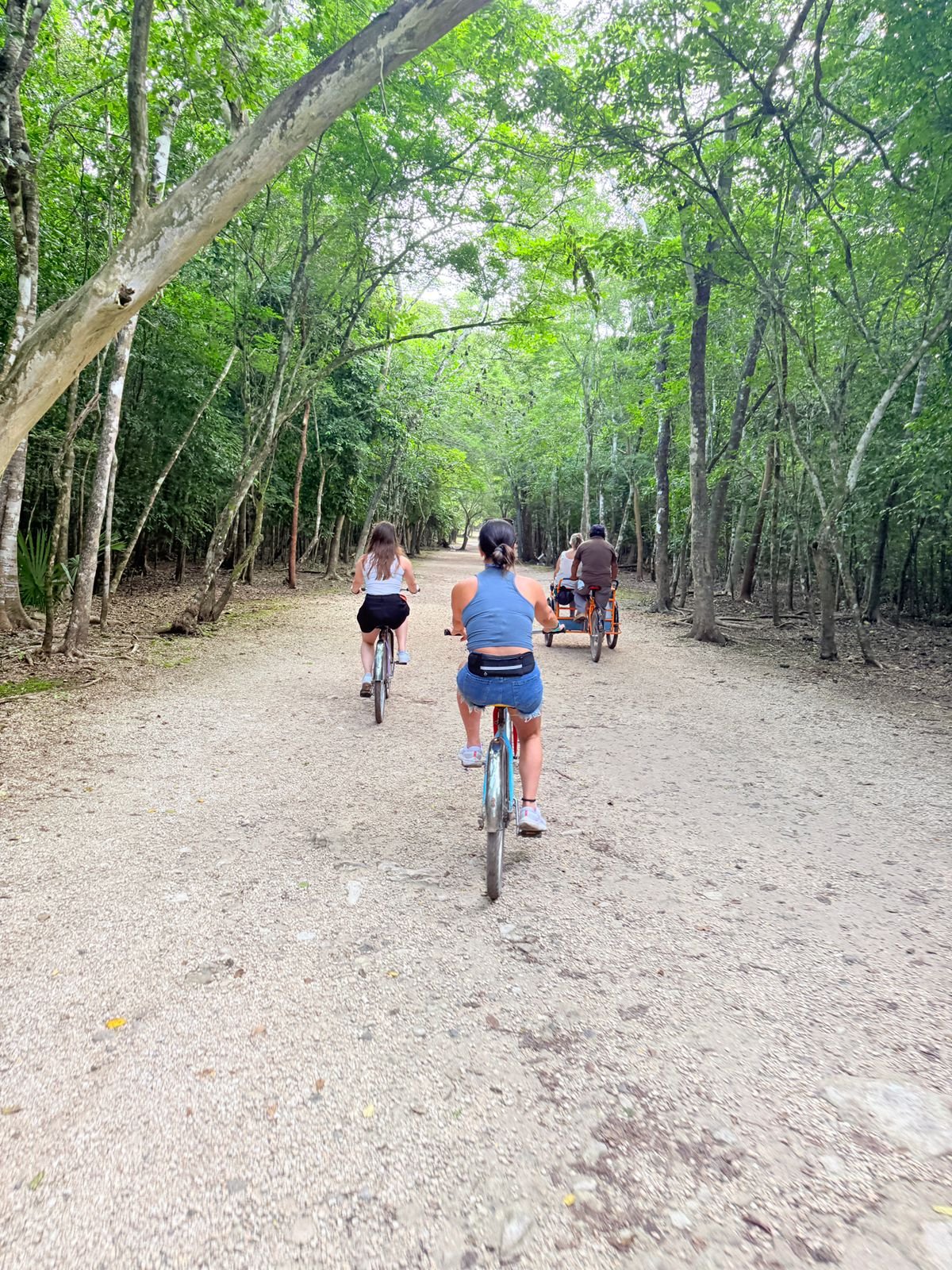 IMG-20251027-WA0011.jpg (Copy)