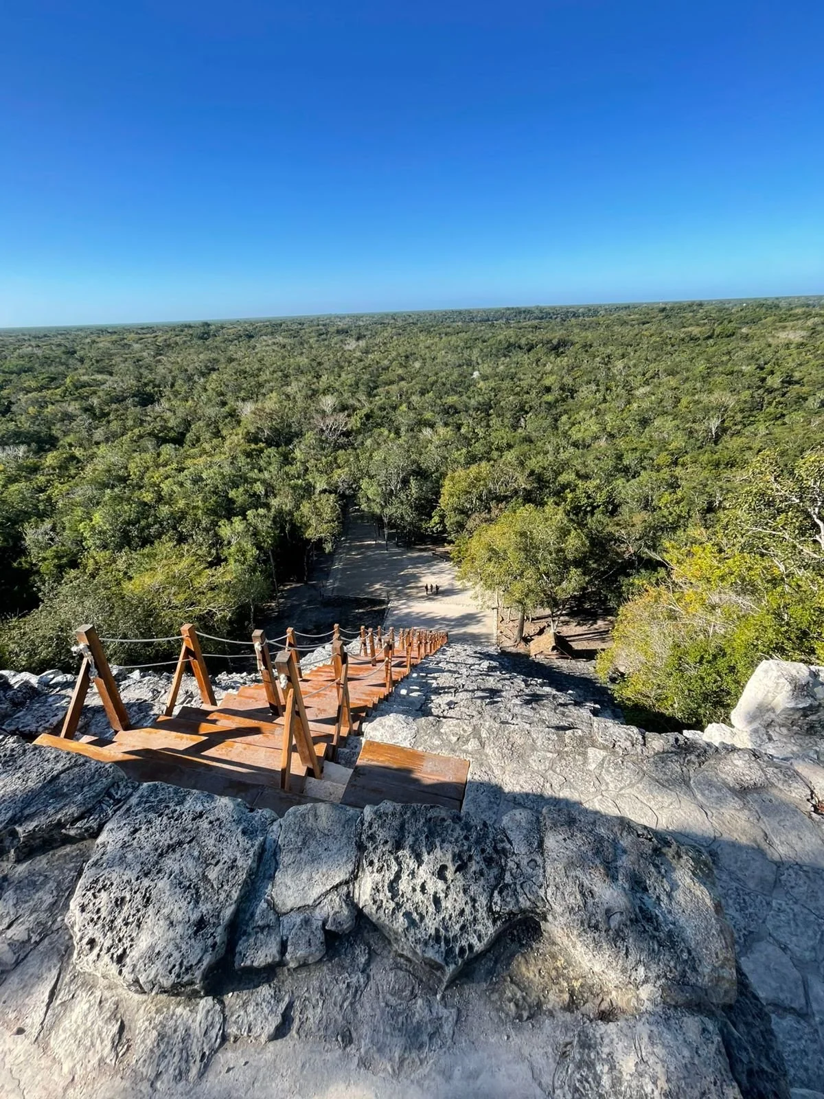 IMG-20260210-WA0072.jpg (Copy)