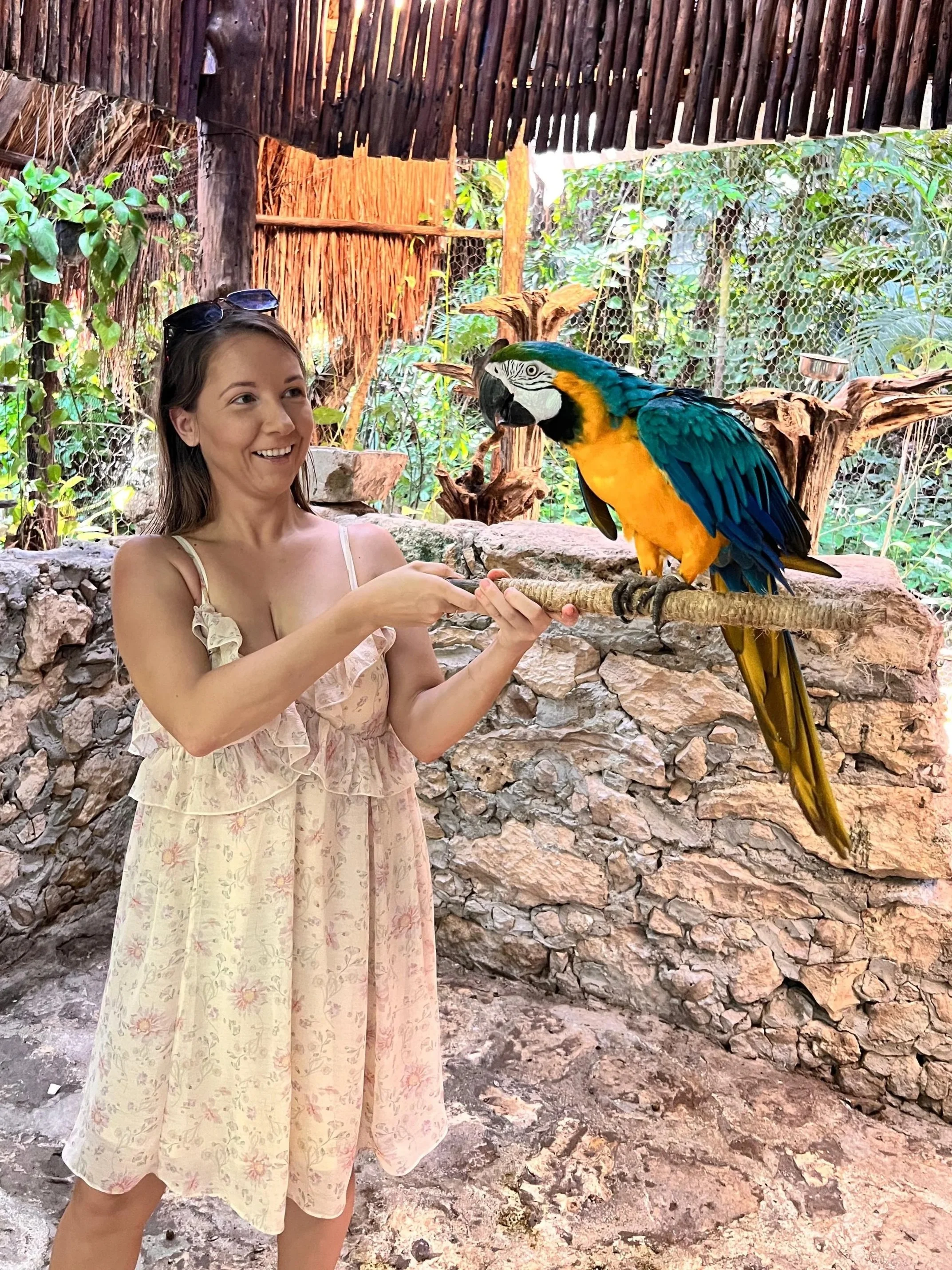 IMG-20250921-WA0266.jpg (Copy)