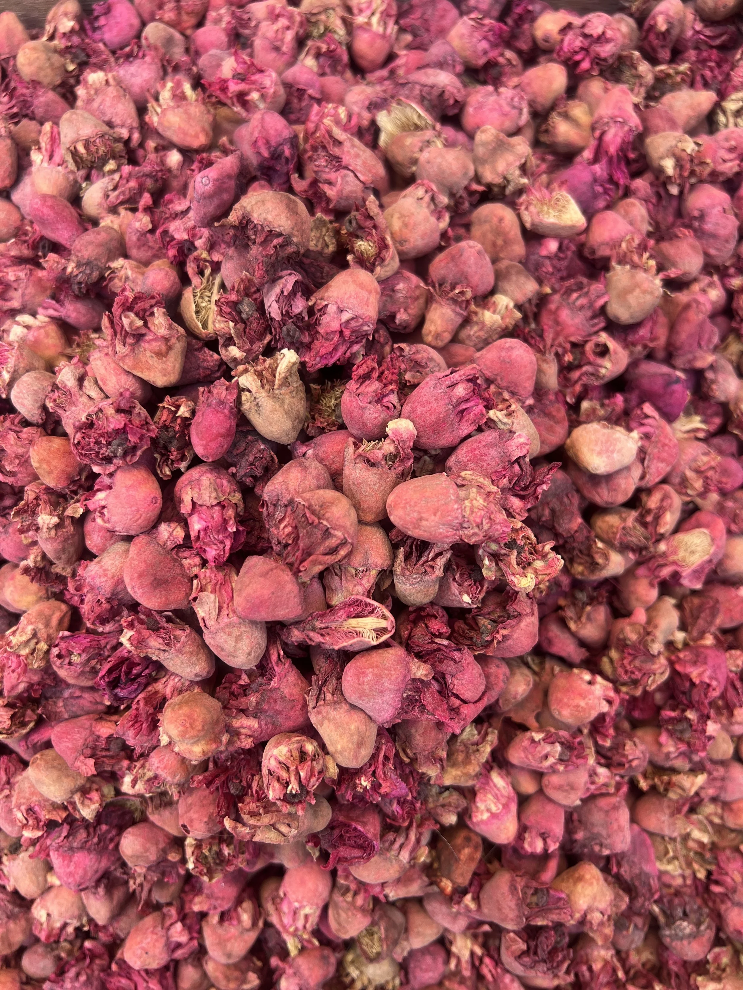 Groups & Professional Workshops - COMING SOON