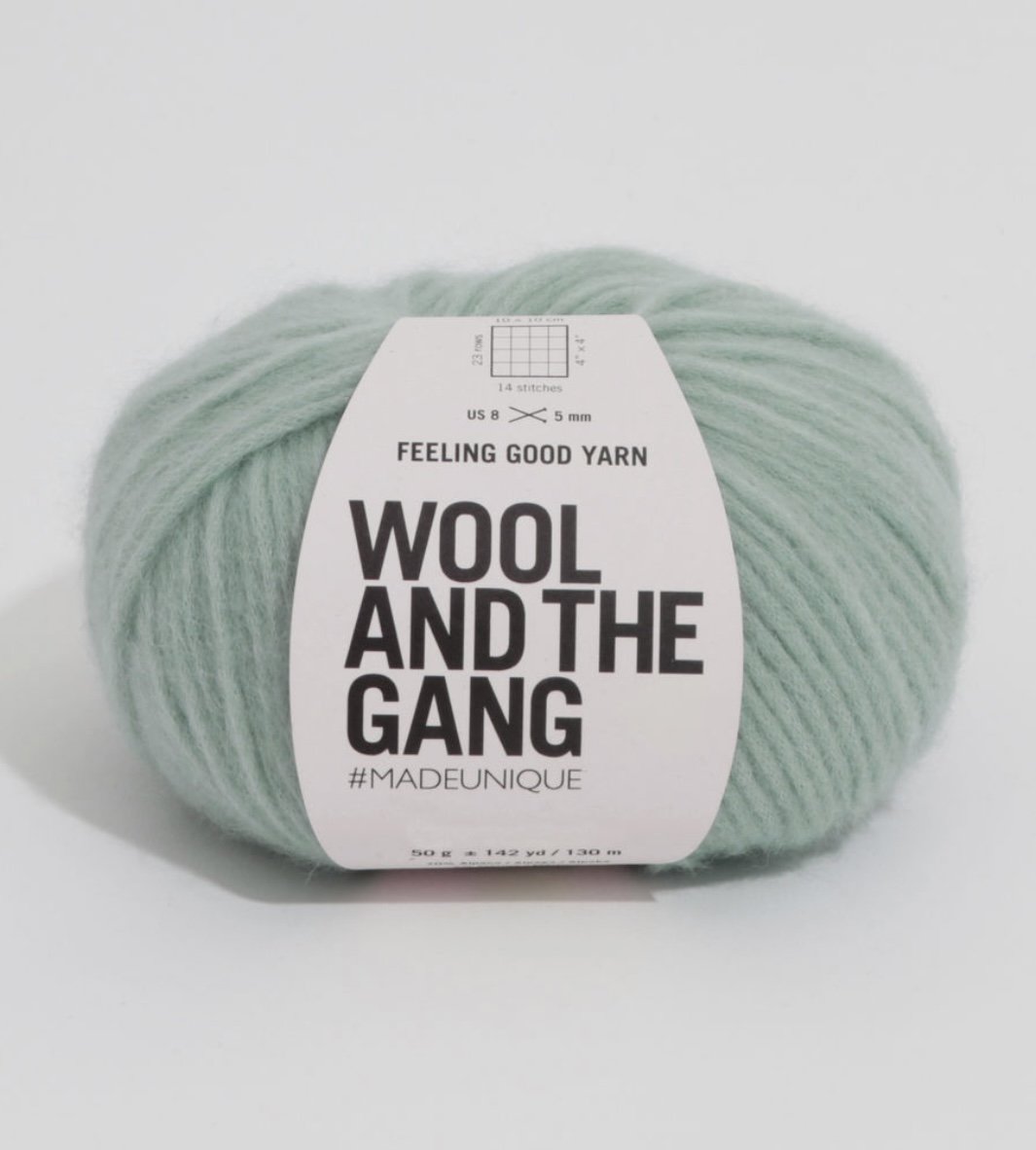 Wool and the Gang Feeling Good Yarn