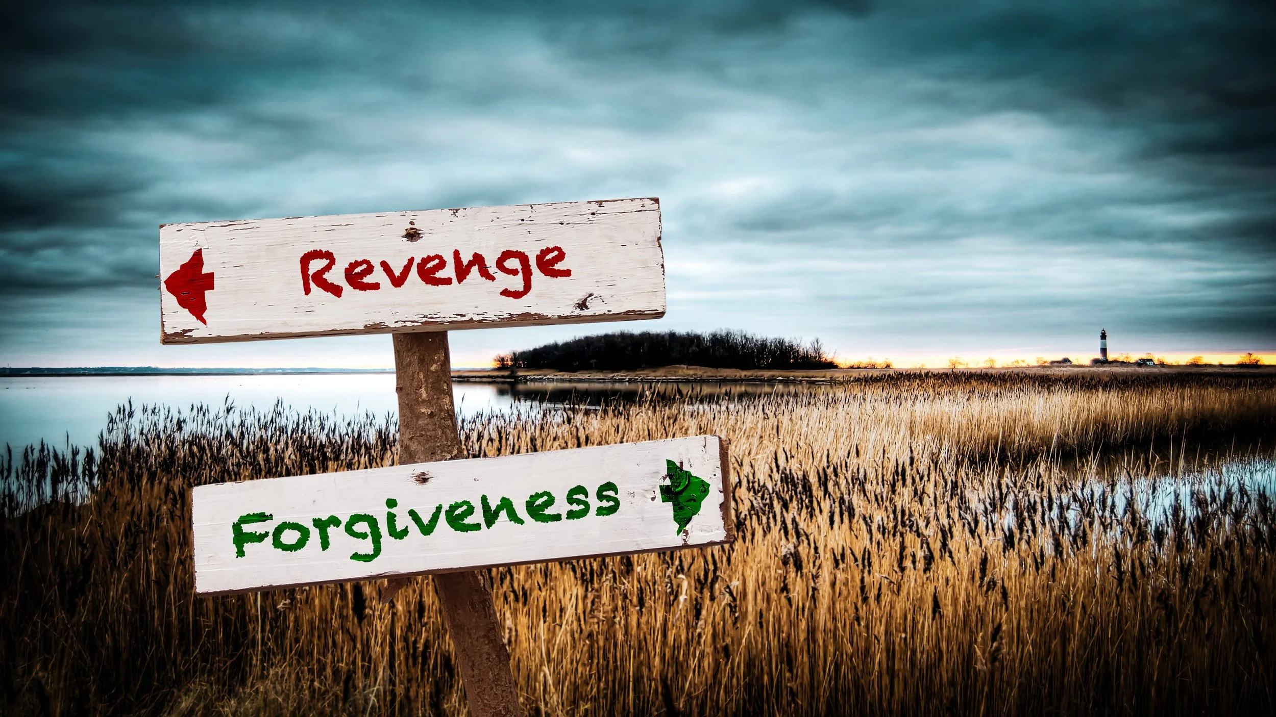 Overcoming Bitterness: Choosing Peace When You Have Every Reason to Be Angry