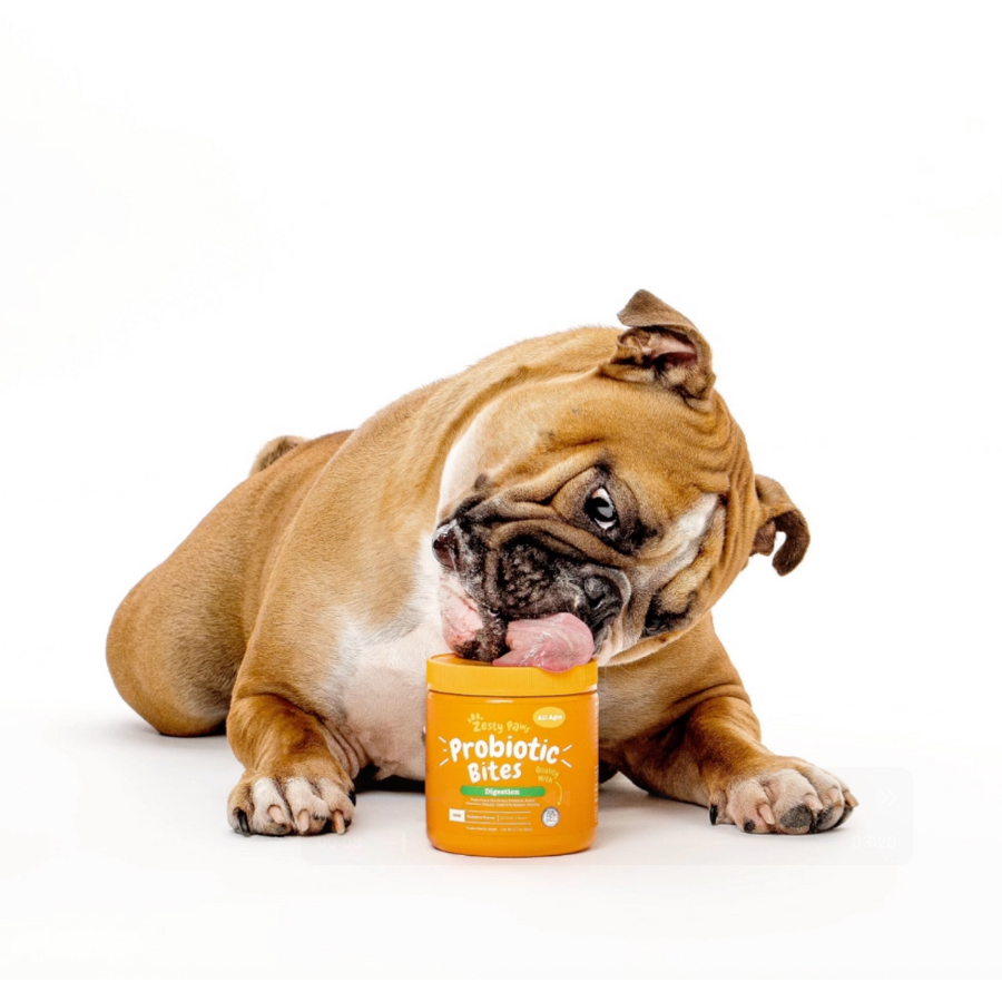 Zesty Paws Brand Shoot