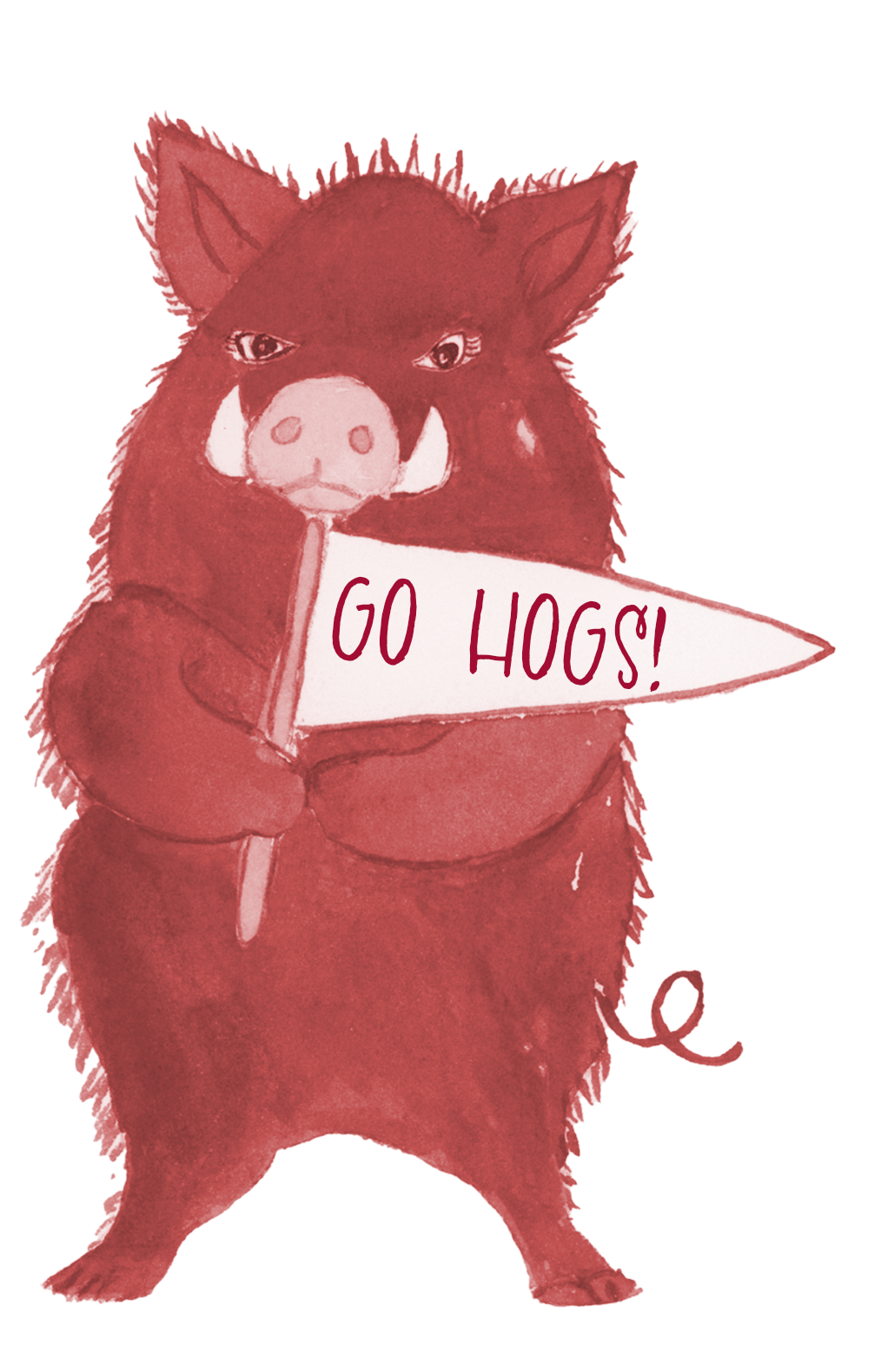 Watercolor illustration of the University of Arkansas hog