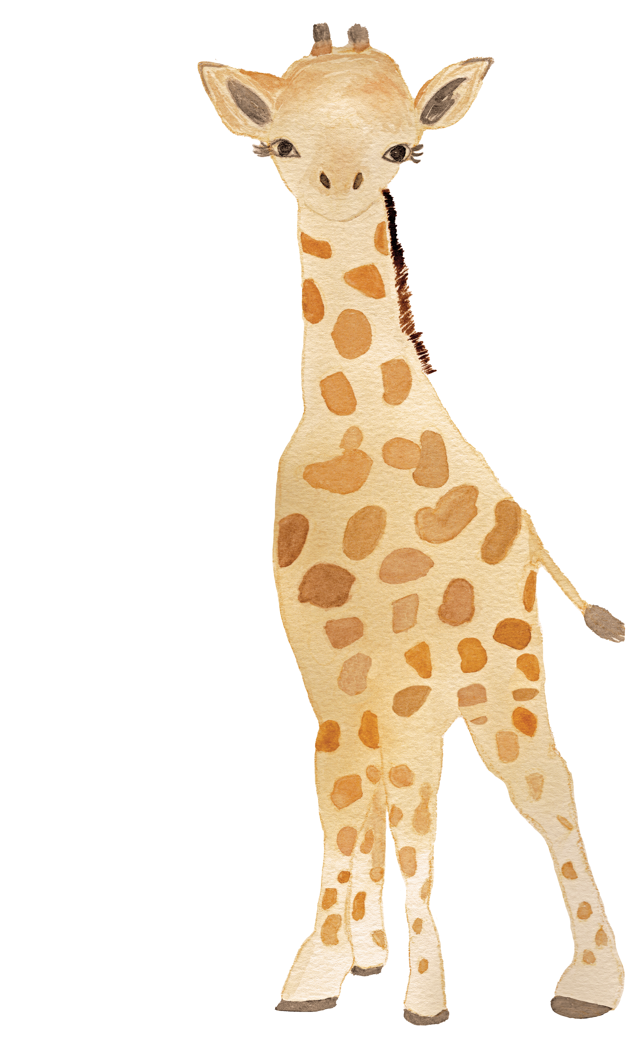 Hand painted giraffe with soft and delicate details