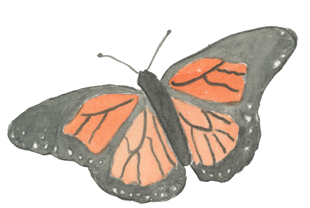 Watercolor orange and black butterfly