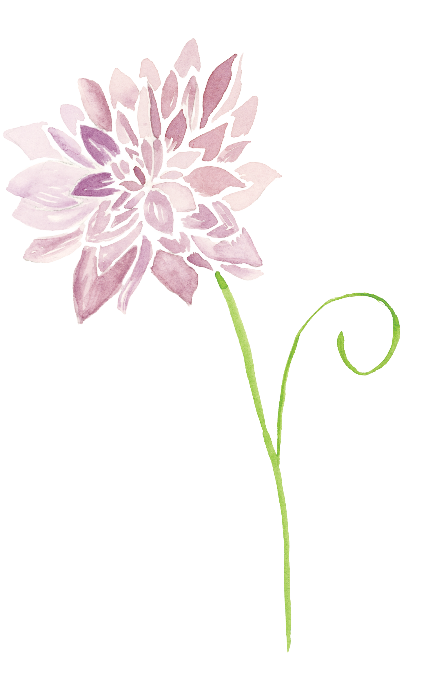 Purple watercolor dahlia with layered petals and a dark center.
