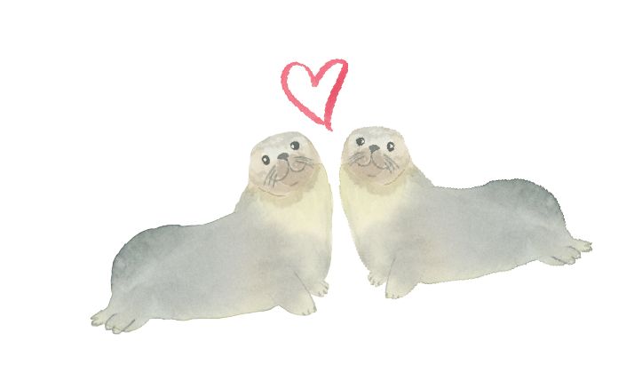 Watercolor illustration of San Francisco seals for a Save the Date