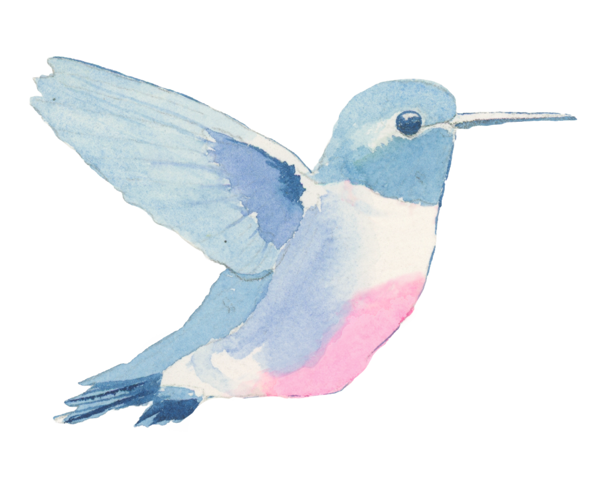 Watercolor hummingbird in shades of blue