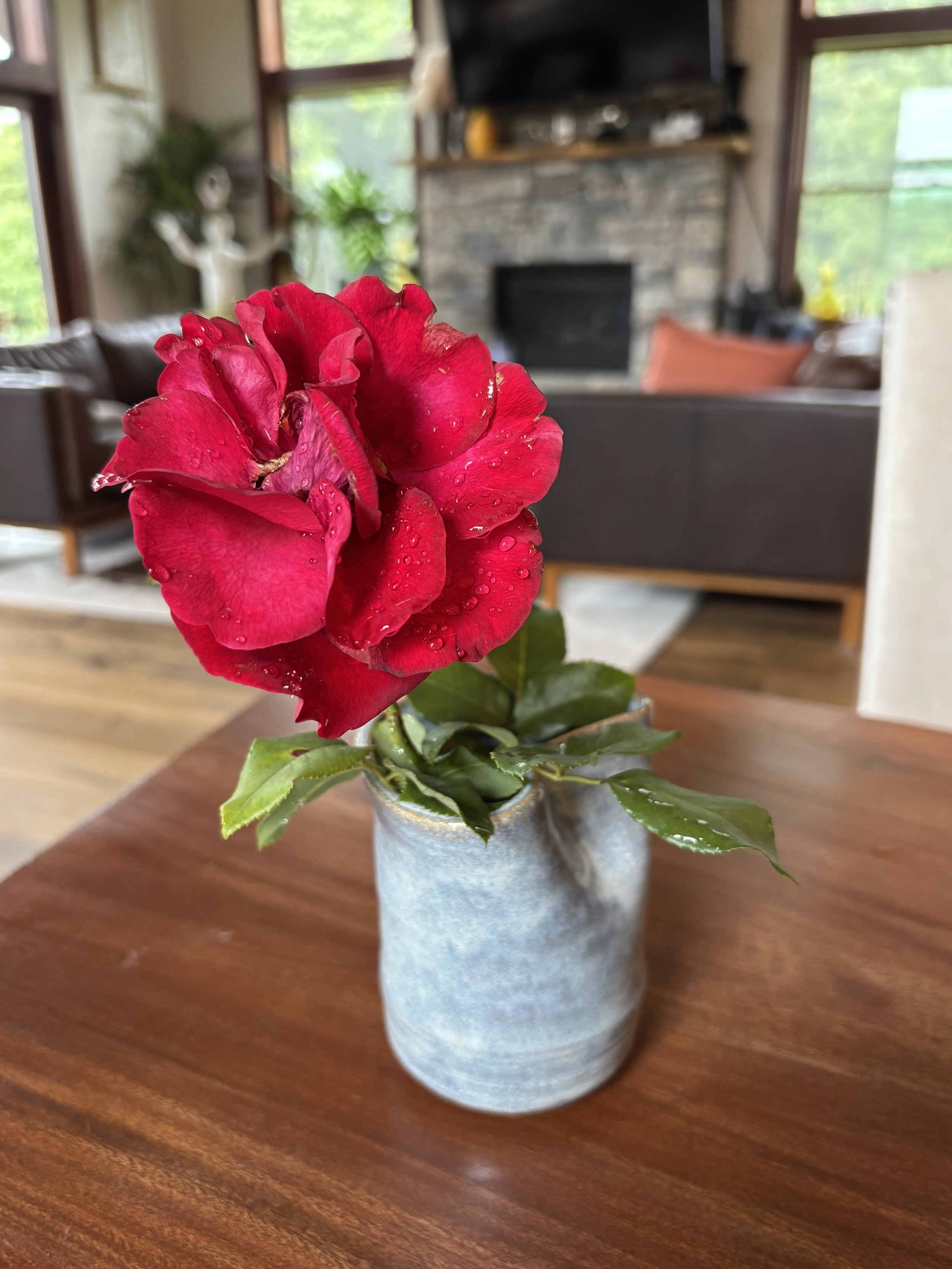 Curvy Shimmery Moonbeam Vase
