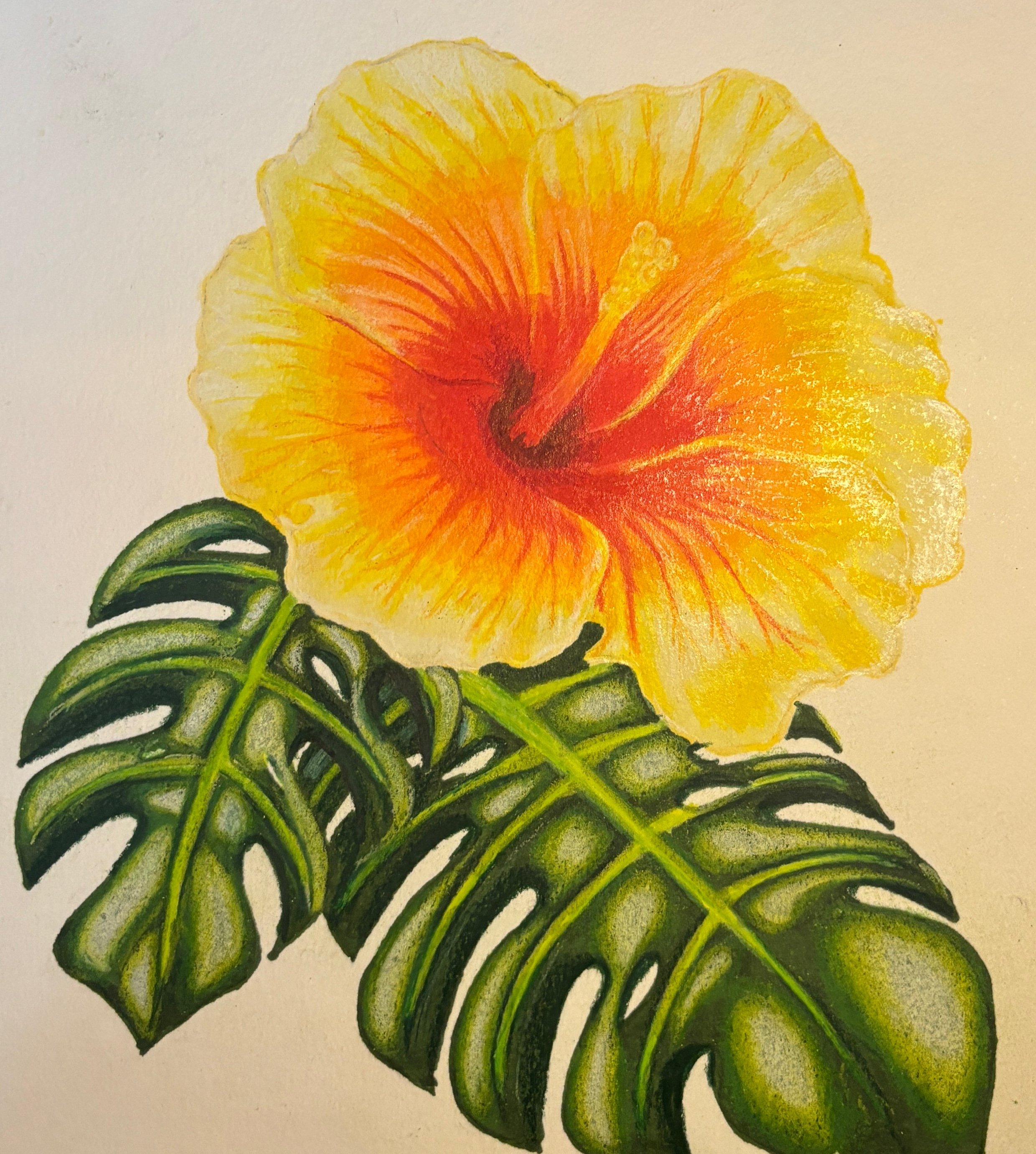 Hibiscus and Monatera leaves sketch.jpg