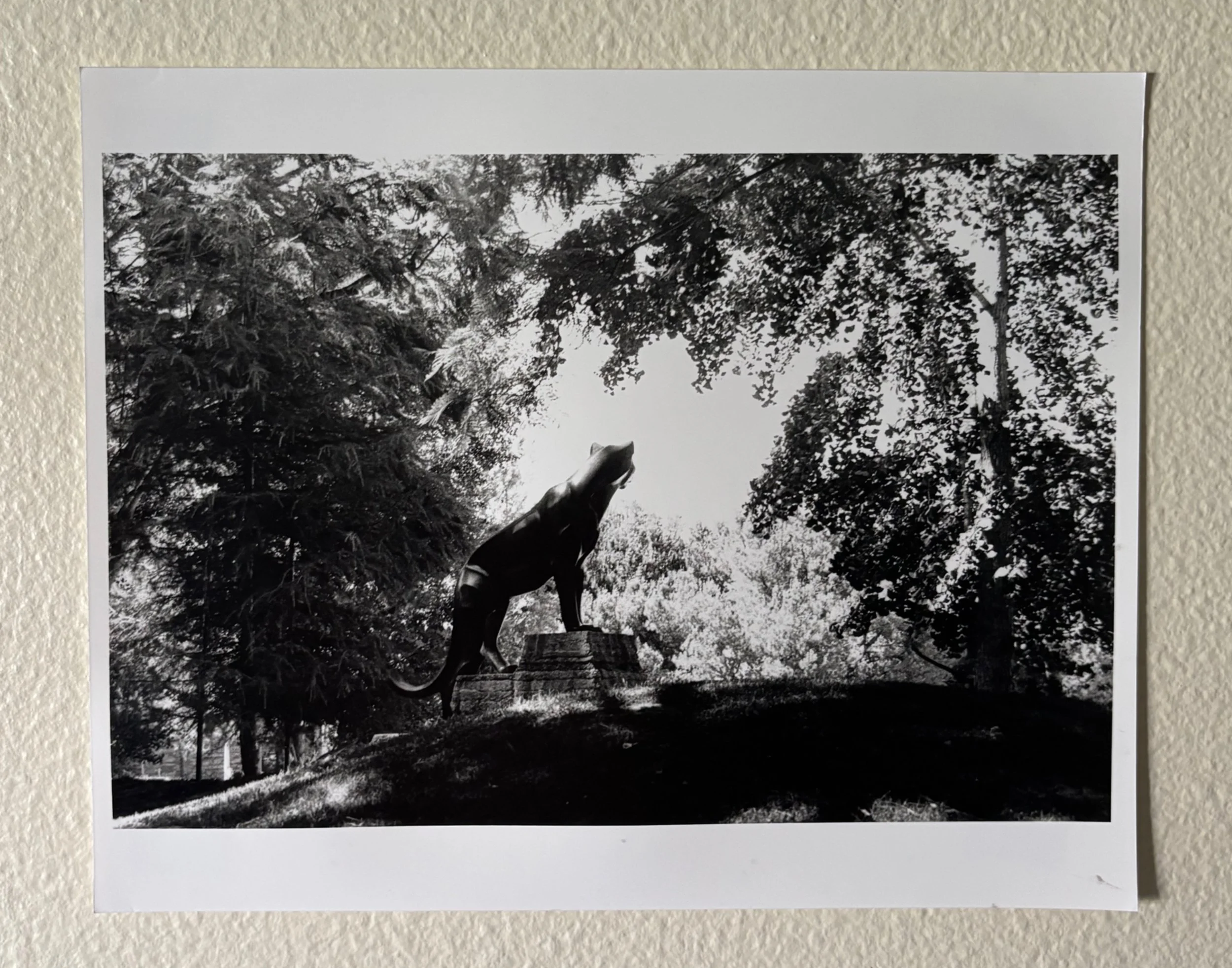 Panther Statue Print.jpg