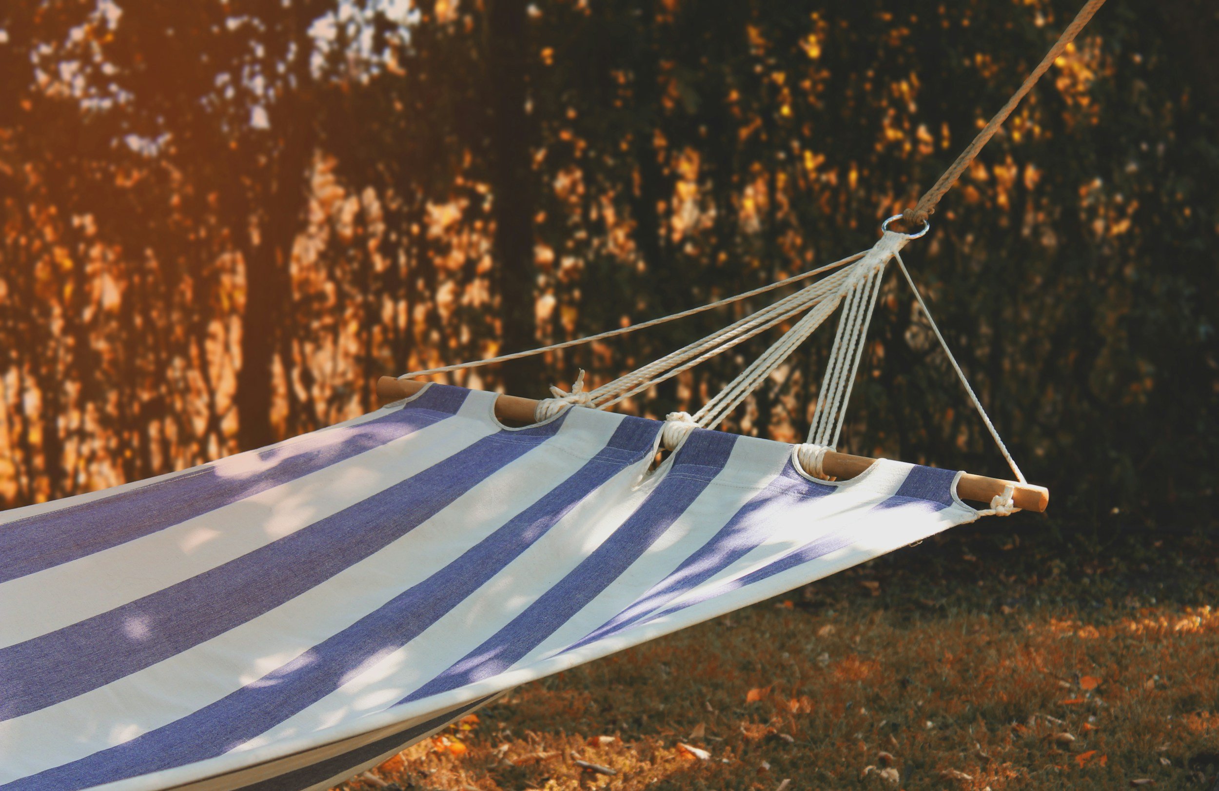 Rest Is a Strategy: What We Learned from BREAKWEEK