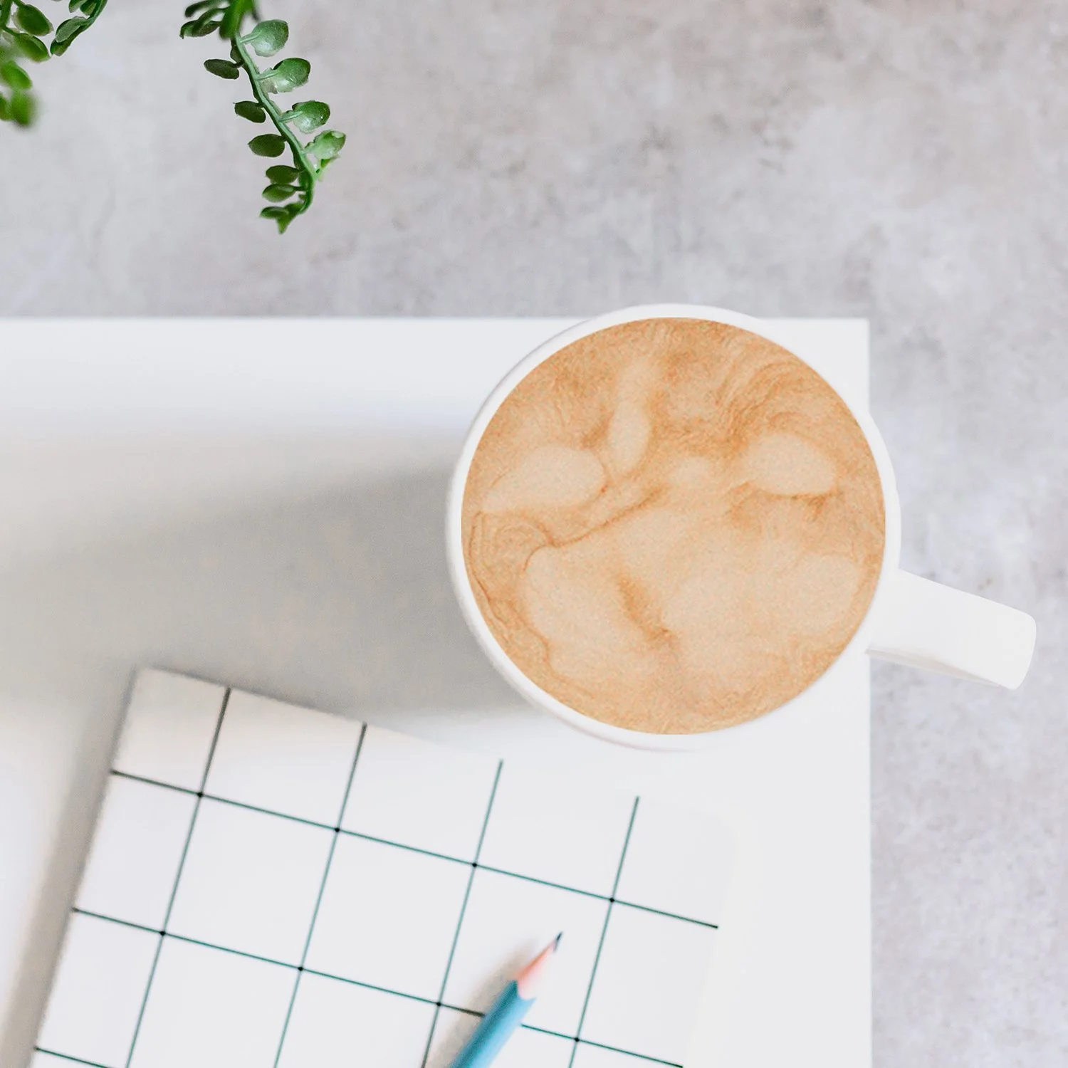 IEP and 504 plan Advocacy: Because Every Child Deserves a Voice