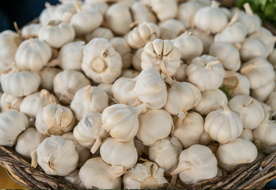 A basket filled with whole garlic bulbs.