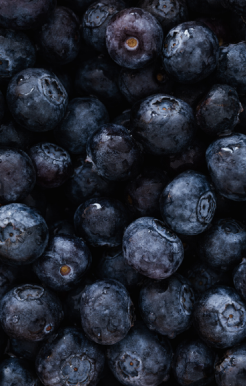 Close-up of fresh blueberries with a dark background.