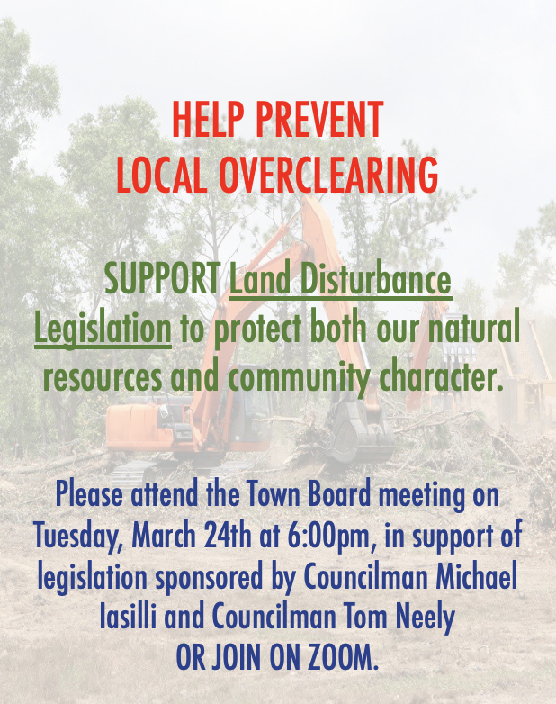 Screenshot 2026-03-20 at 1.03.13 PM.png