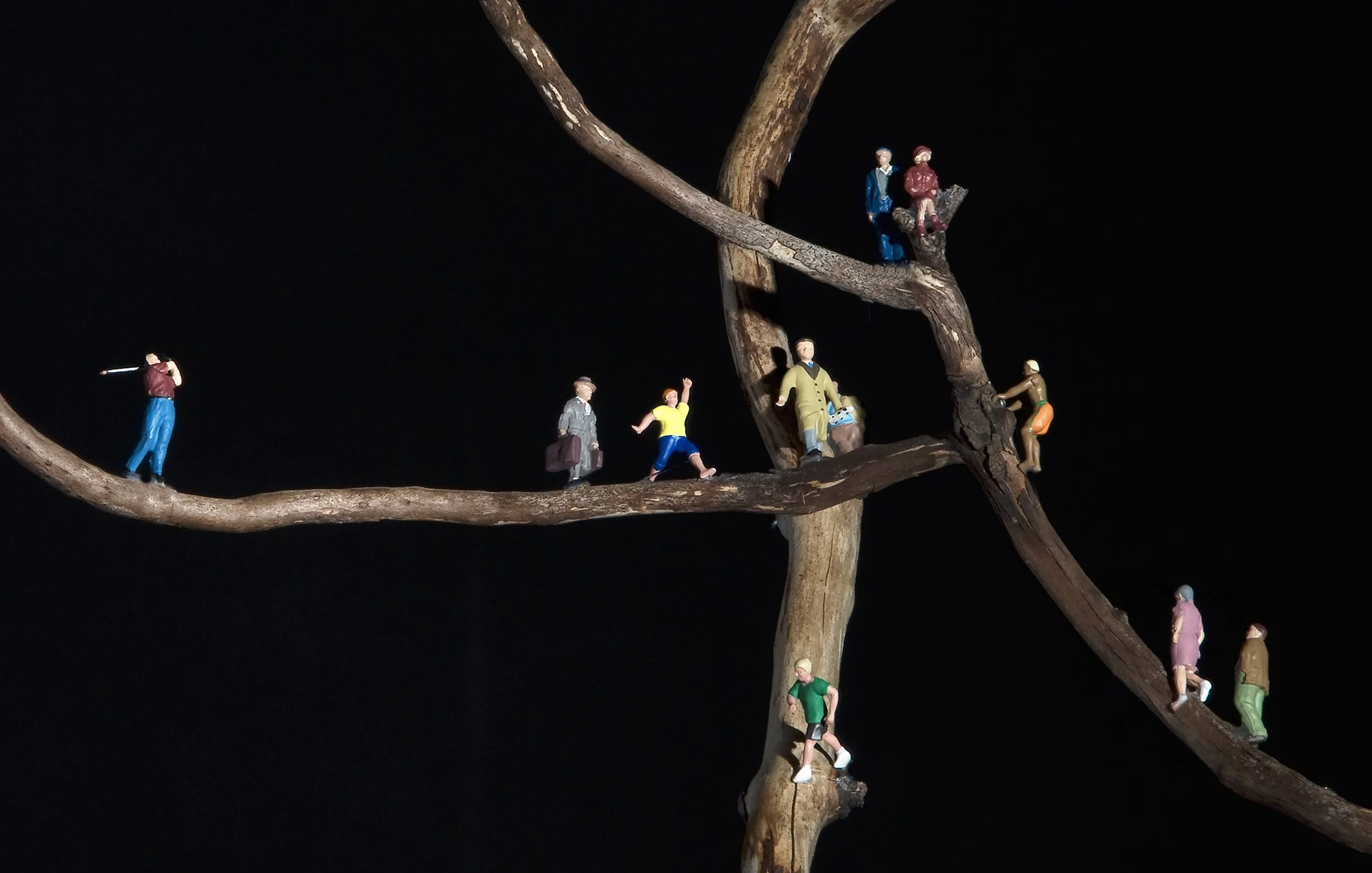 OLD GROWTH, DETAIL 2, wood matchsticks, driftwood, wood glue, scale-model figures, 21"h x 12"w 9.5"d, 2010,  Flash Point Series  