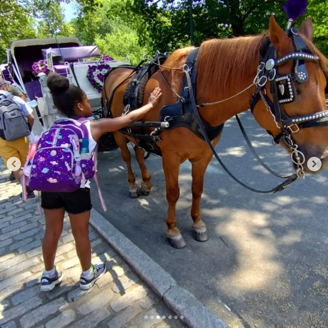 Girl petting a brown horse in front of a decorated carriage at a park.