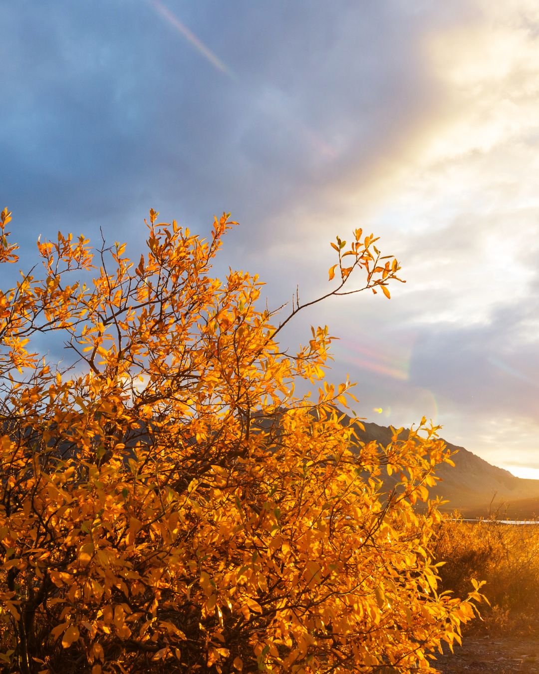 On Embracing the Season you’re in.