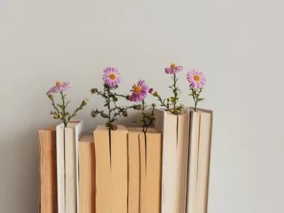The 3 Best Money Books for Beginners (That Actually Helped Me Get Out of Debt)