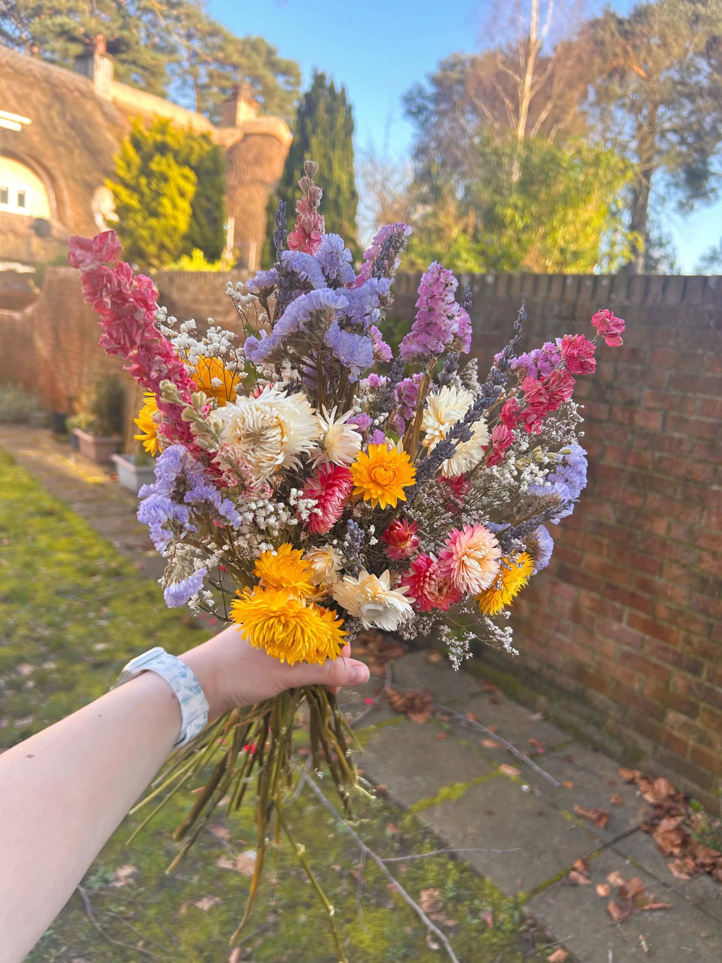 Spring Has Sprung