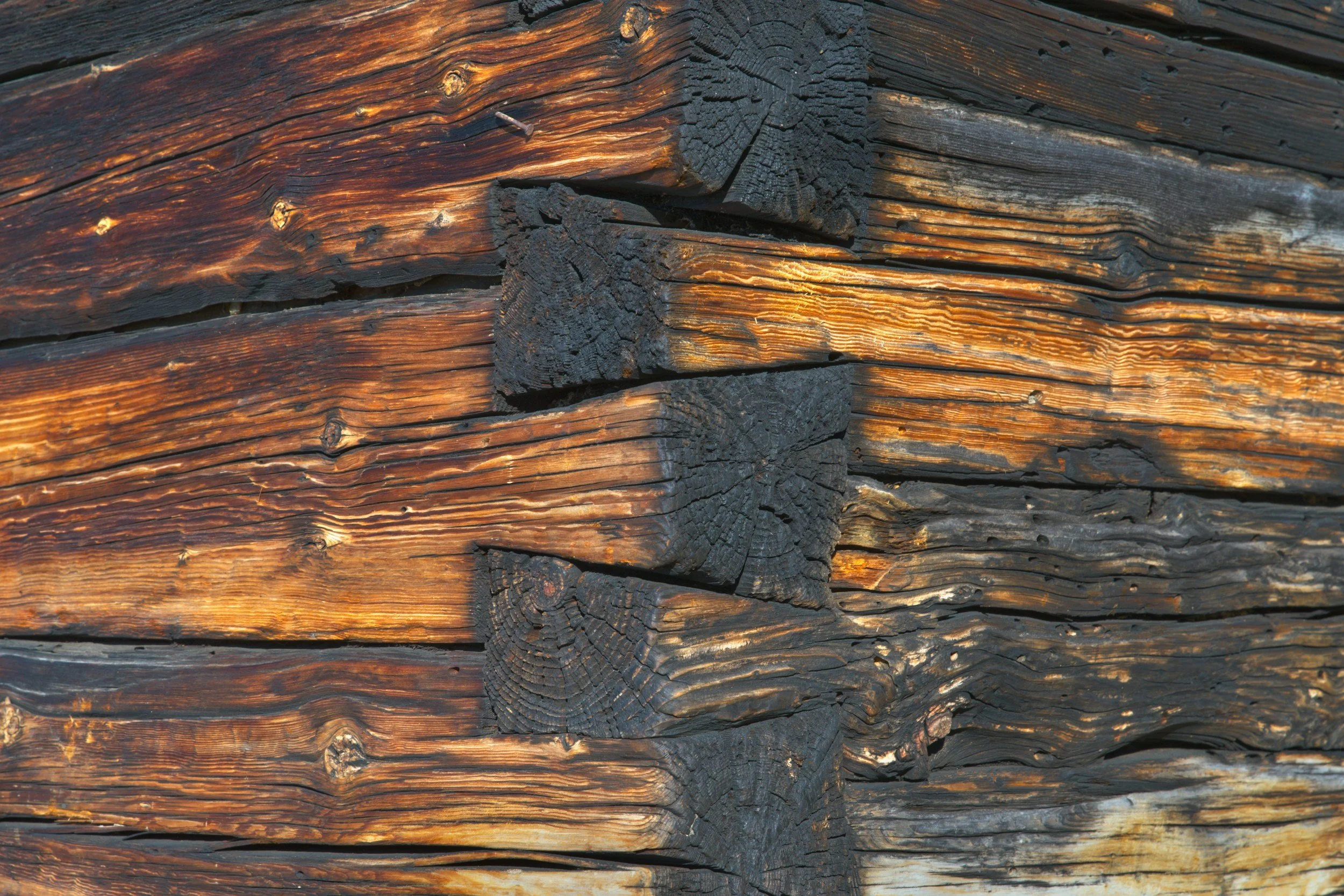 Close-up of weathered wooden logs with darkened areas and visible grain patterns, arranged in a stacked formation.