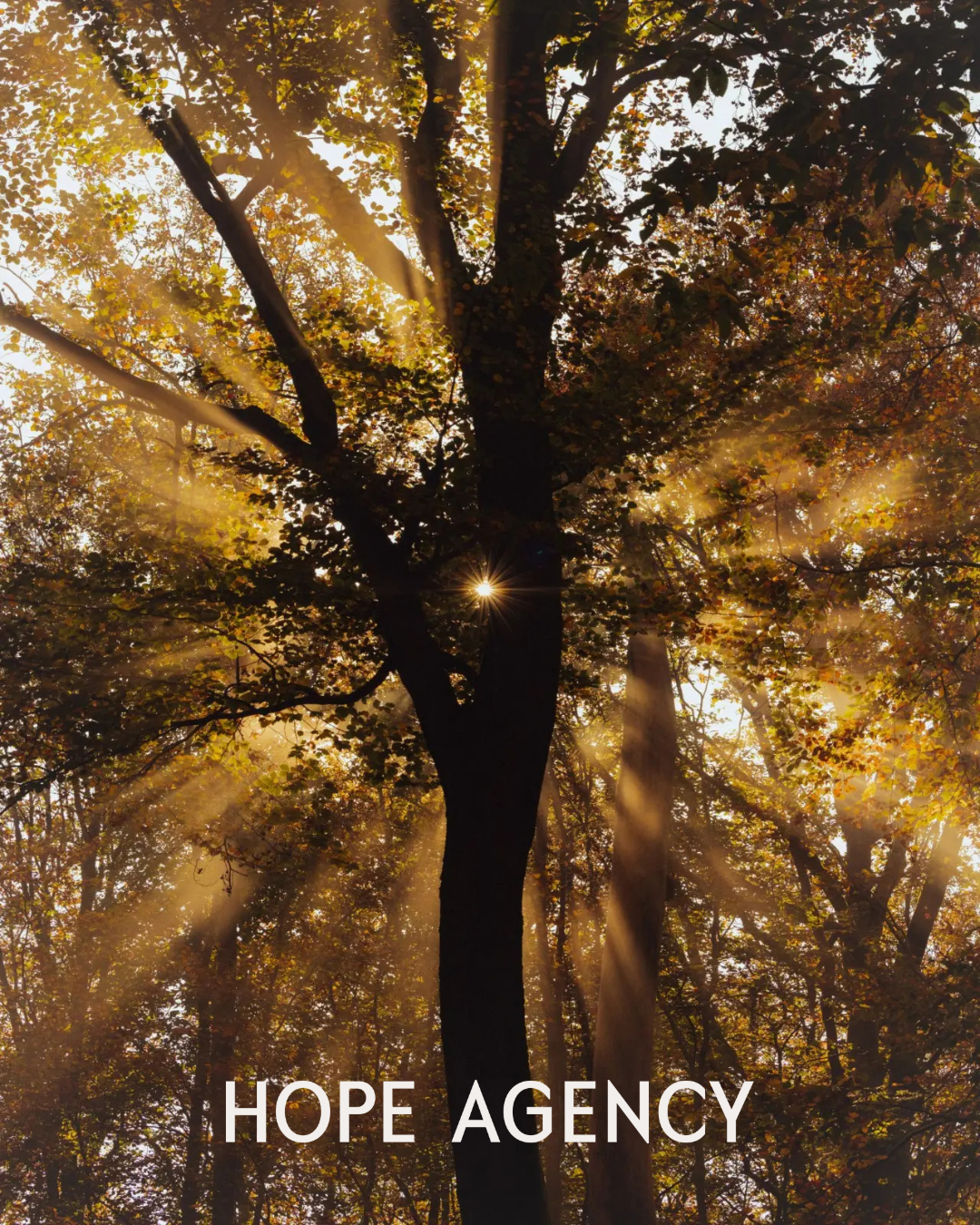 HOPE AGENCY 