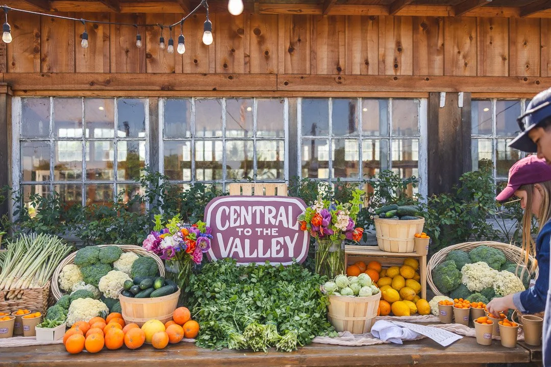 Inside the Central to the Valley Launch Party  