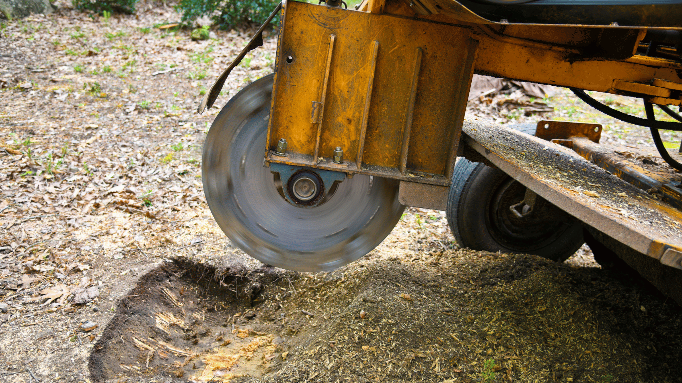 tree grinder