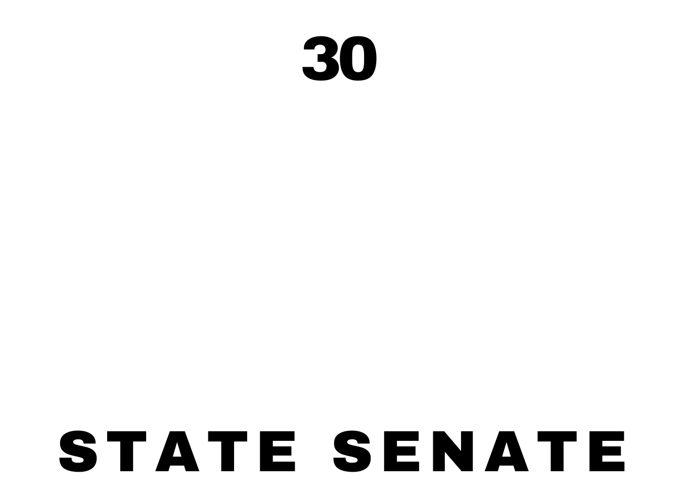 Sean Steeg State Senate