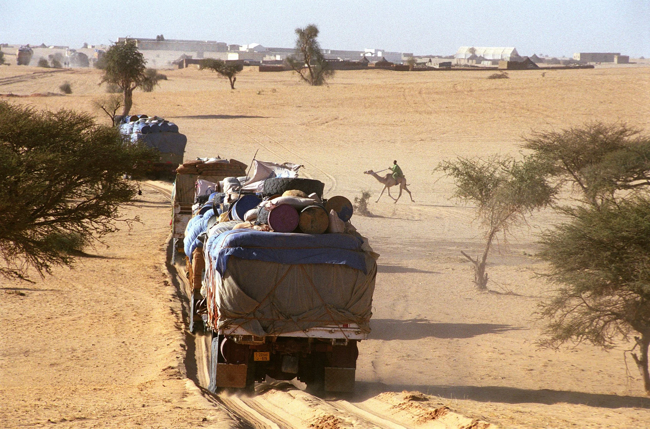 A truck transporting various supplies and goods through a desert landscape with sparse trees in the foreground and buildings in the background. A person riding a camel is visible to the right.