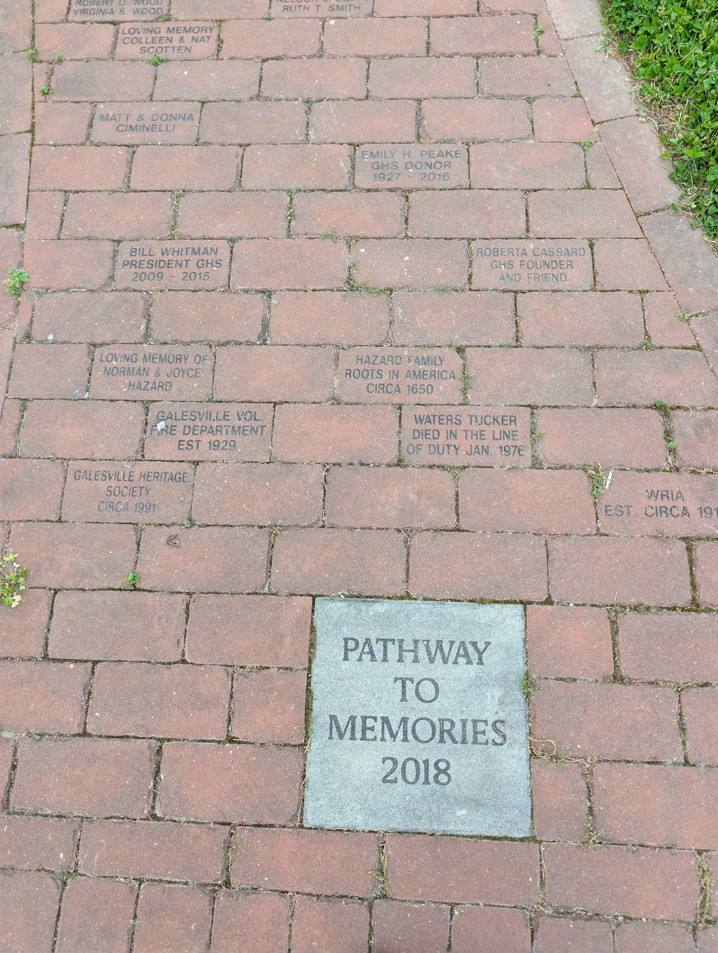 Pathway Headon.jpg