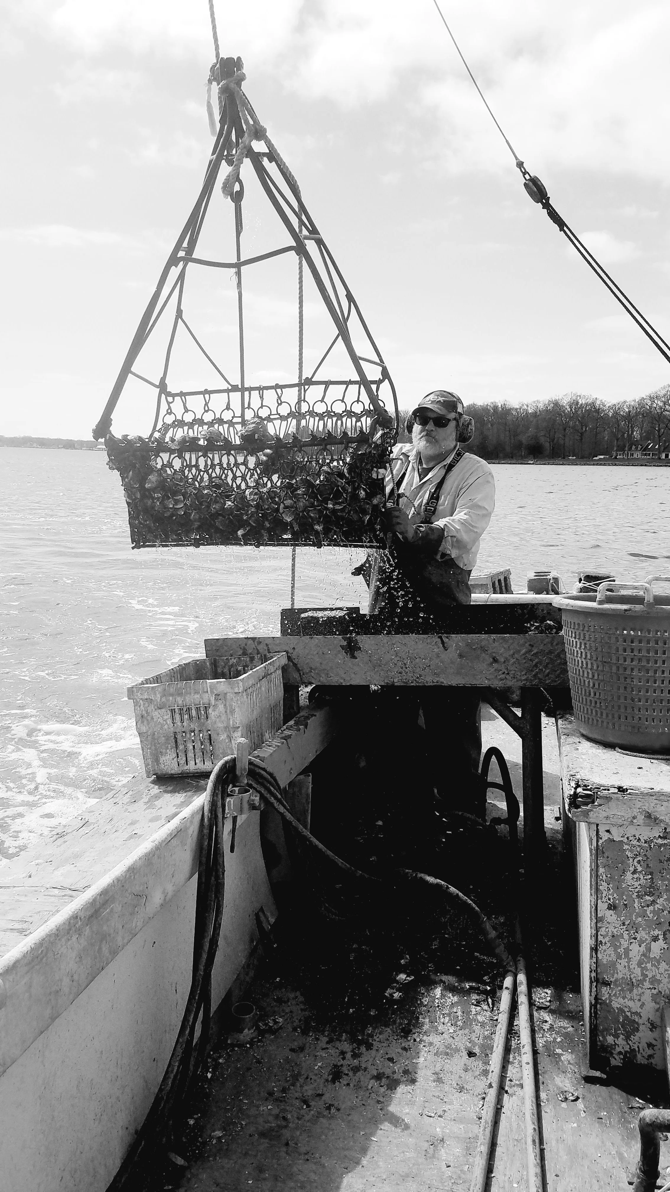 OysterFarm.jpg