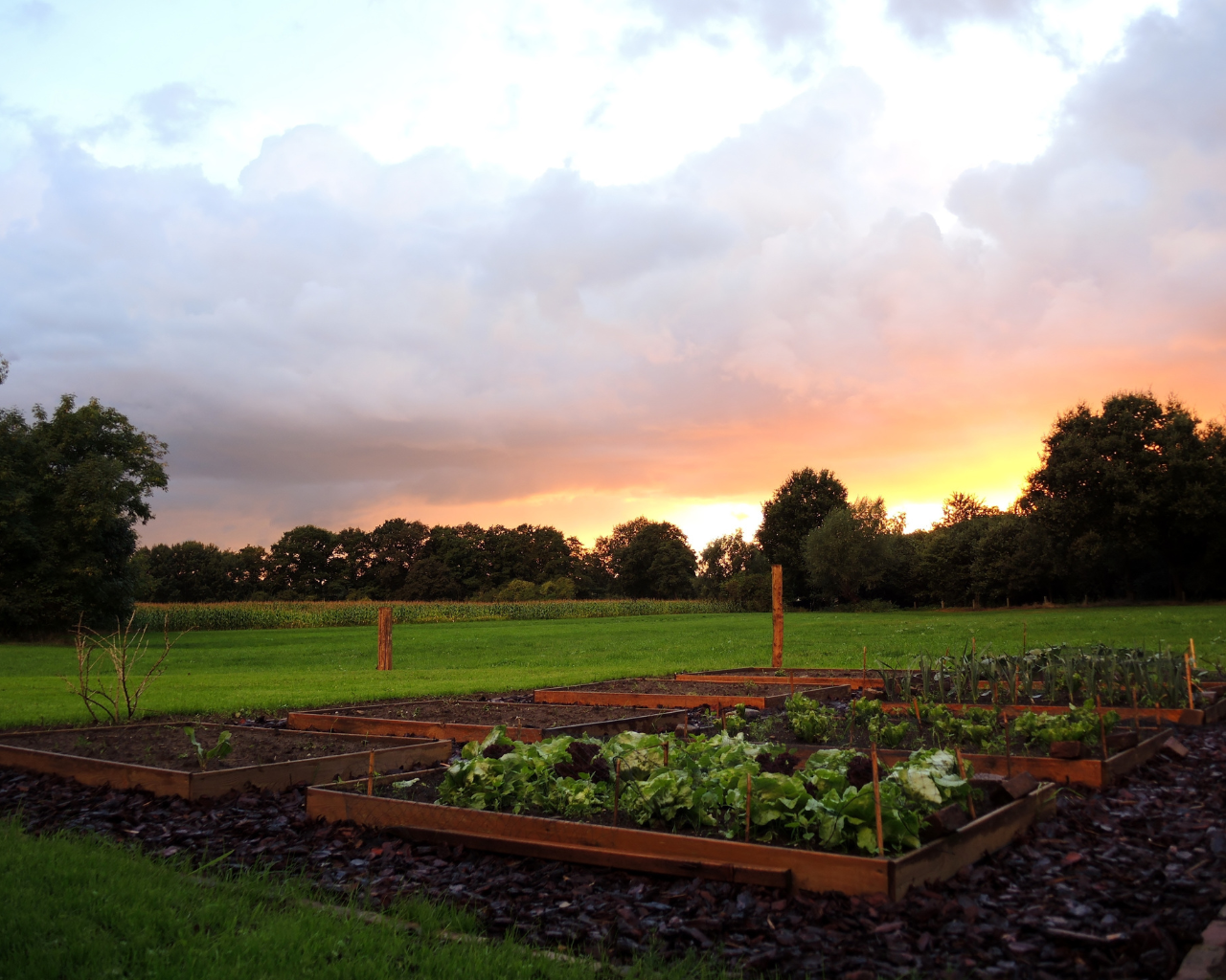 Your portfolio is a garden