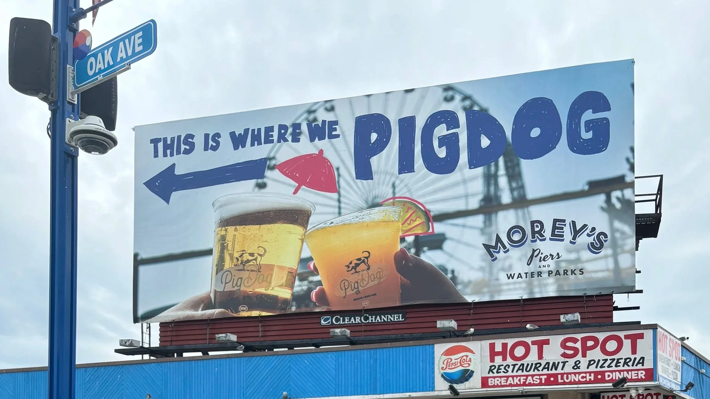 pigdog-billboard2.jpg